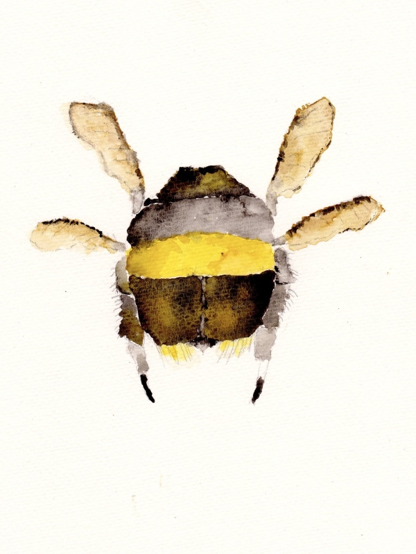 Bumble Butt
